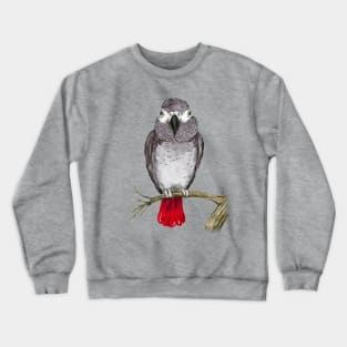 African grey parrot watercolor Crewneck Sweatshirt